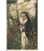 ΚΑΛΟΓΡΑΙΑ ΕΙΣ ΠΕΡΙΠΑΤΟΝ ΚΑΛΟΓΡΑΙΑ ΕΙΣ ΠΕΡΙΠΑΤΟΝ